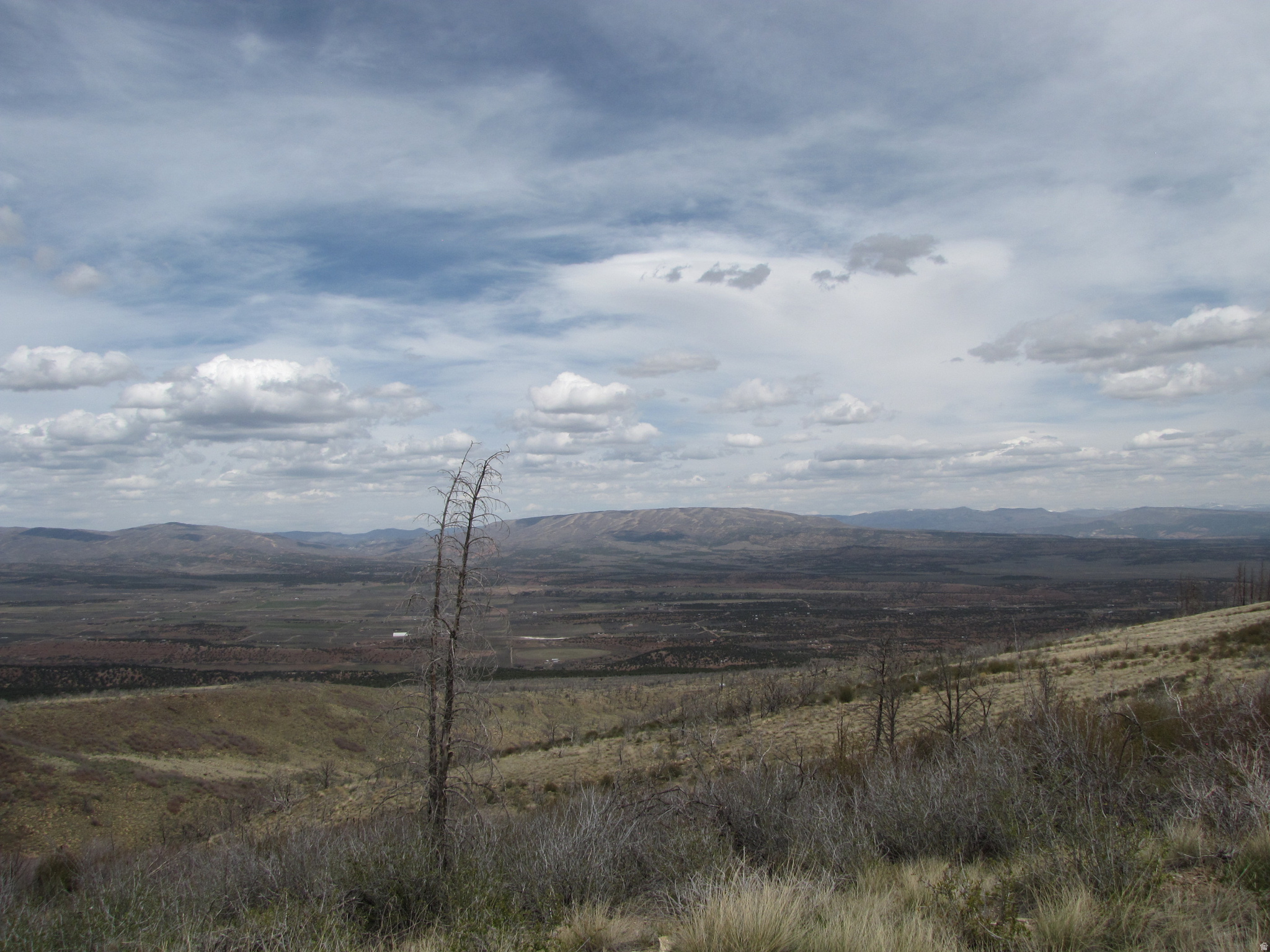 STRAWBERRY PROPERTIES - Land