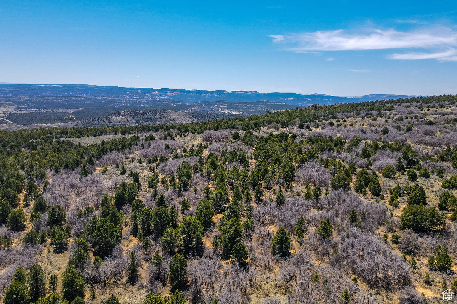 Land, Mount Carmel, Utah image 3