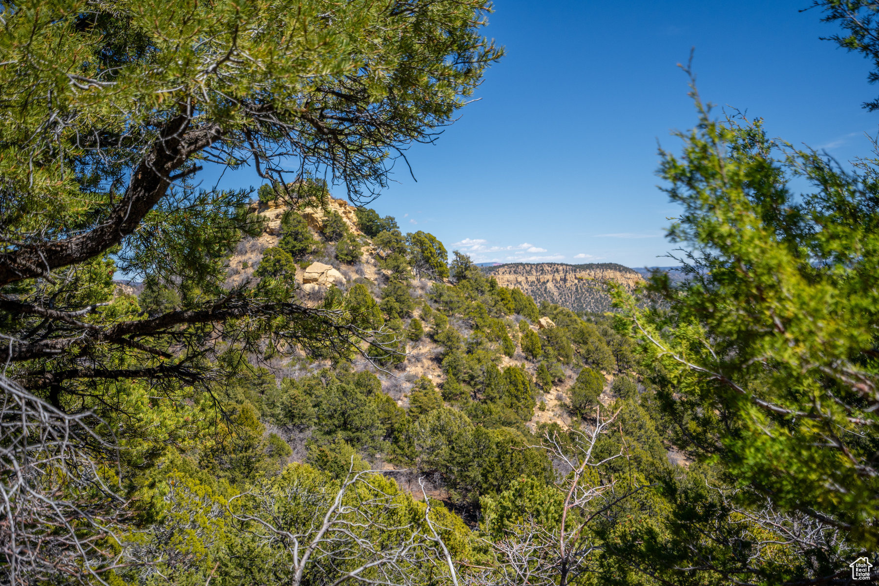 Land, Mount Carmel, Utah image 26