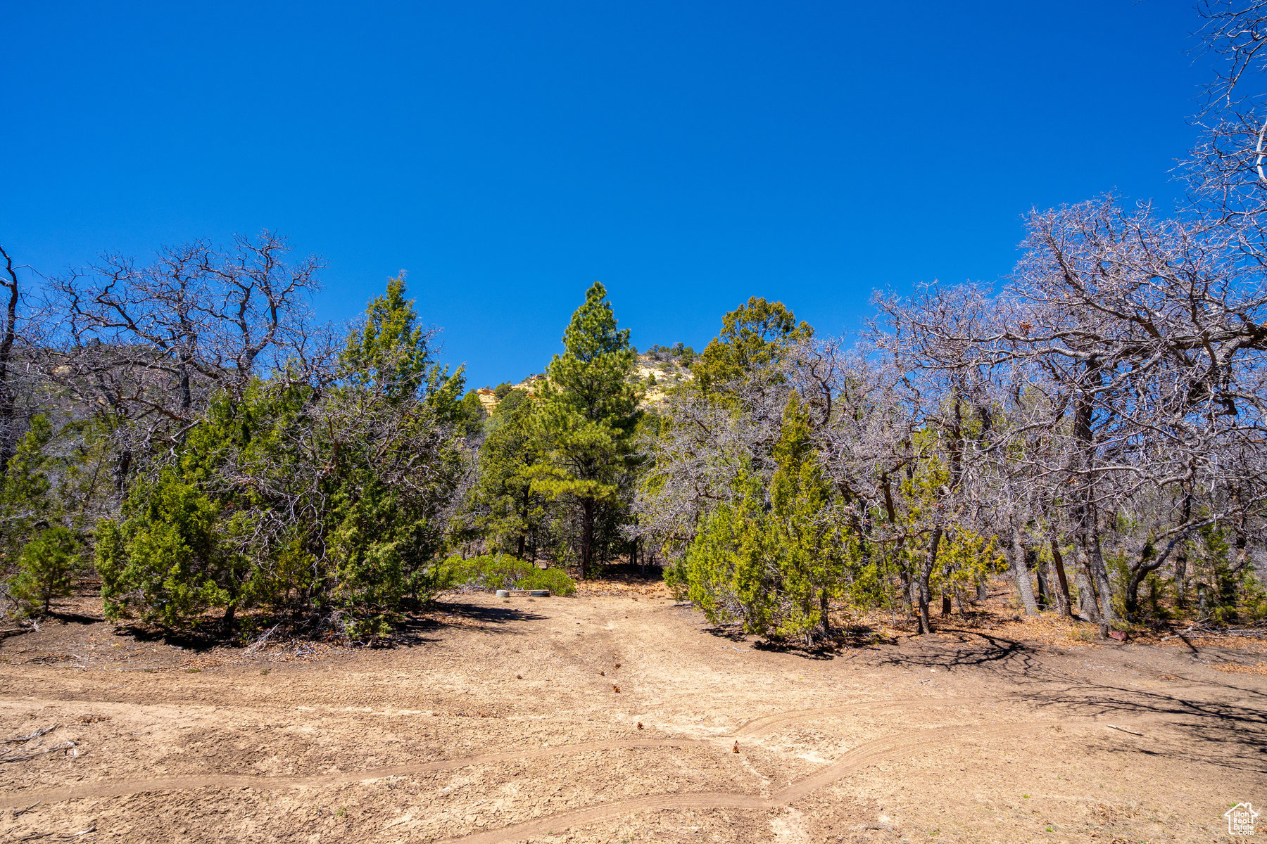 Land, Mount Carmel, Utah image 12