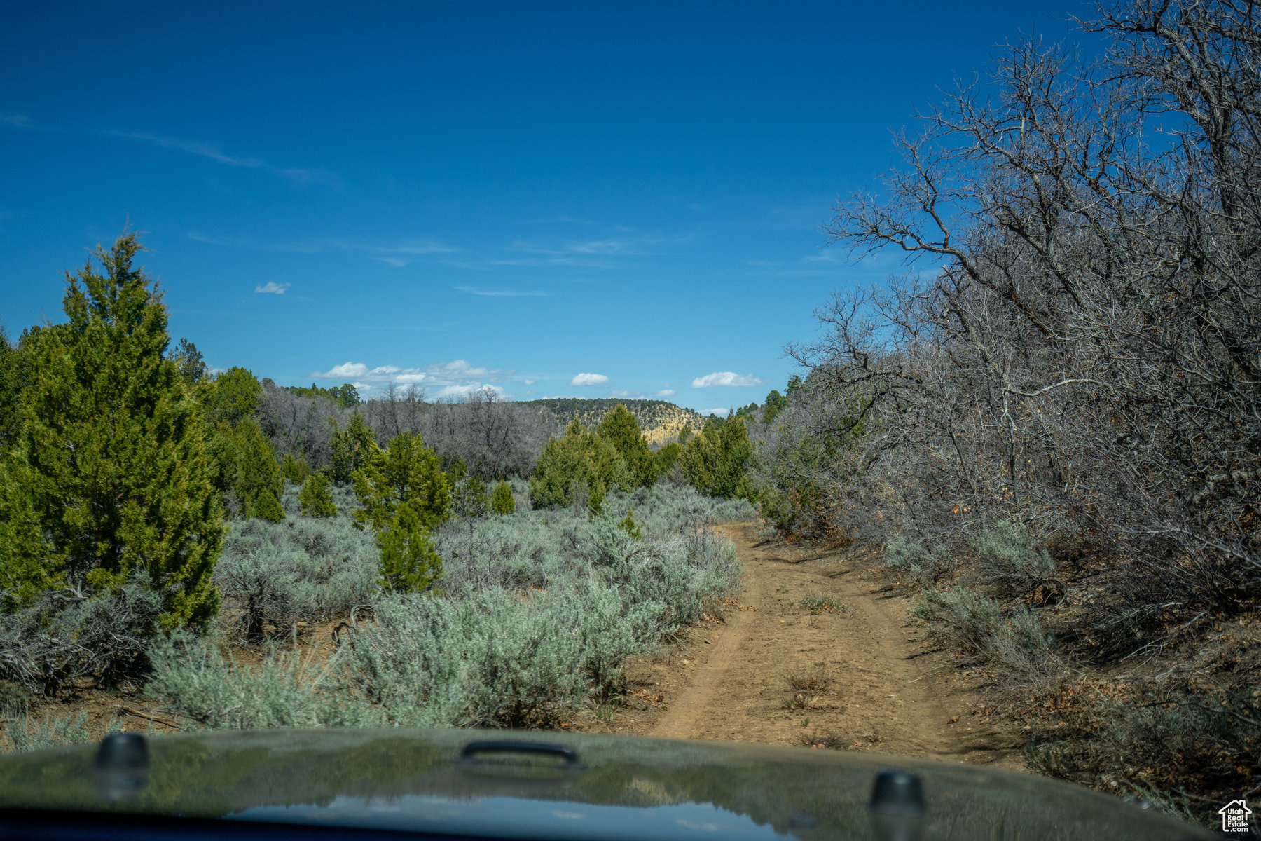 Land, Mount Carmel, Utah image 31