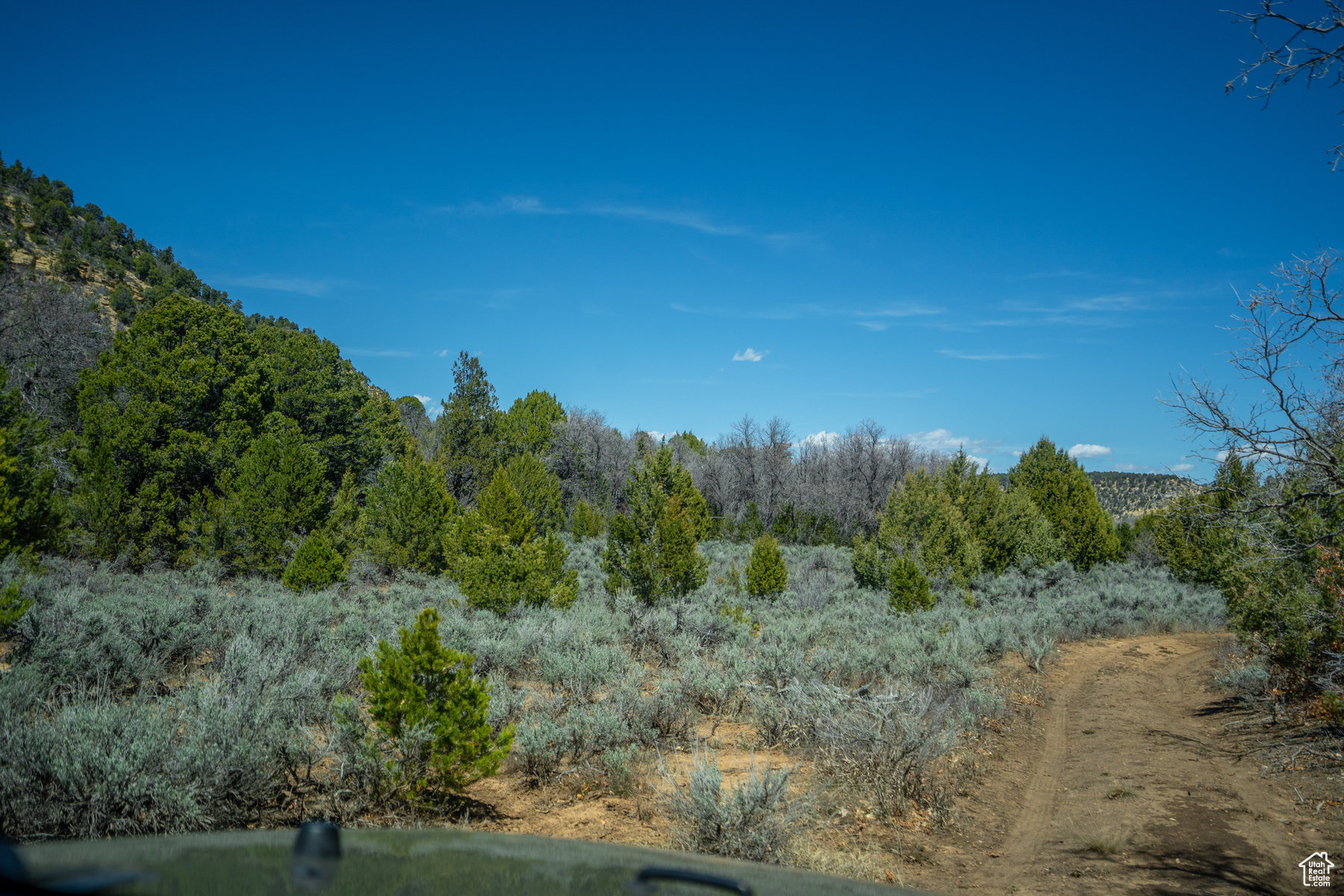 Land, Mount Carmel, Utah image 32