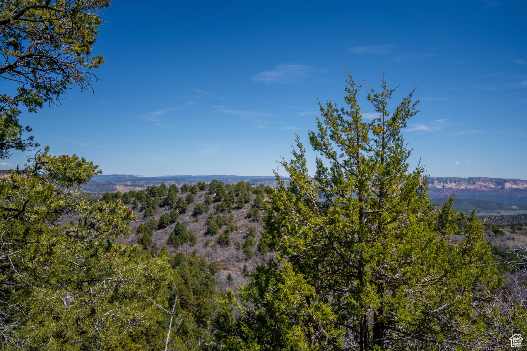 Land, Mount Carmel, Utah image 25