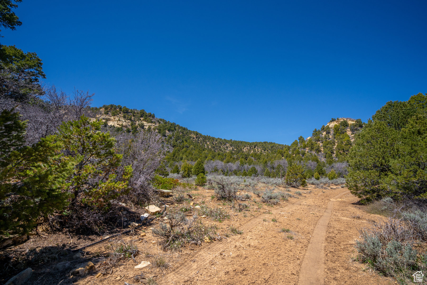 Land, Mount Carmel, Utah image 8