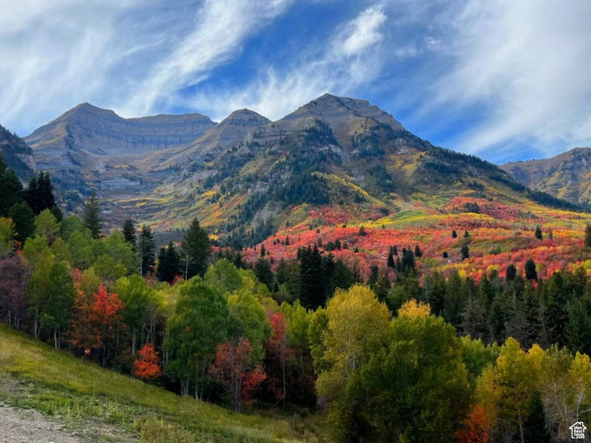 SUNDANCE COTTAGES 1ST SUPP CONDO - Residential