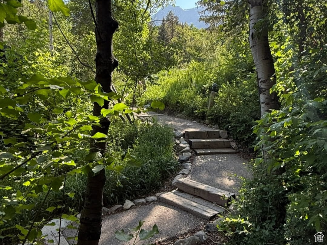 SUNDANCE COTTAGES 1ST SUPP CONDO - Residential