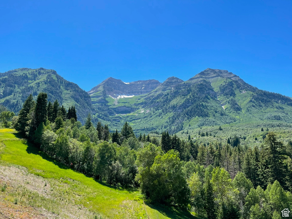 SUNDANCE COTTAGES 1ST SUPP CONDO - Residential