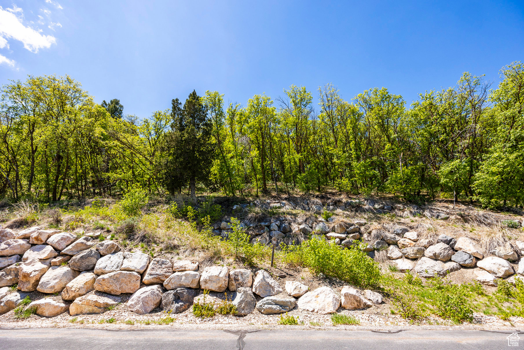 HAWKINS CREEK - Land