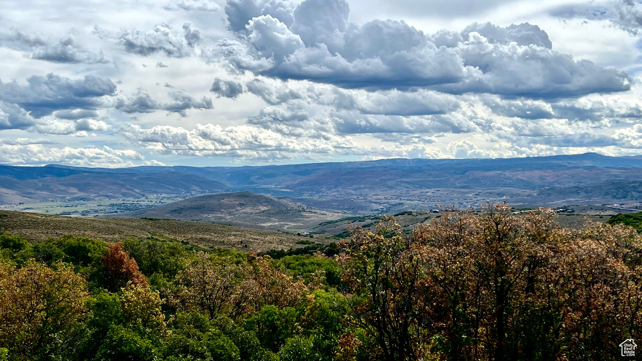 GOLDEN EAGLE - Land