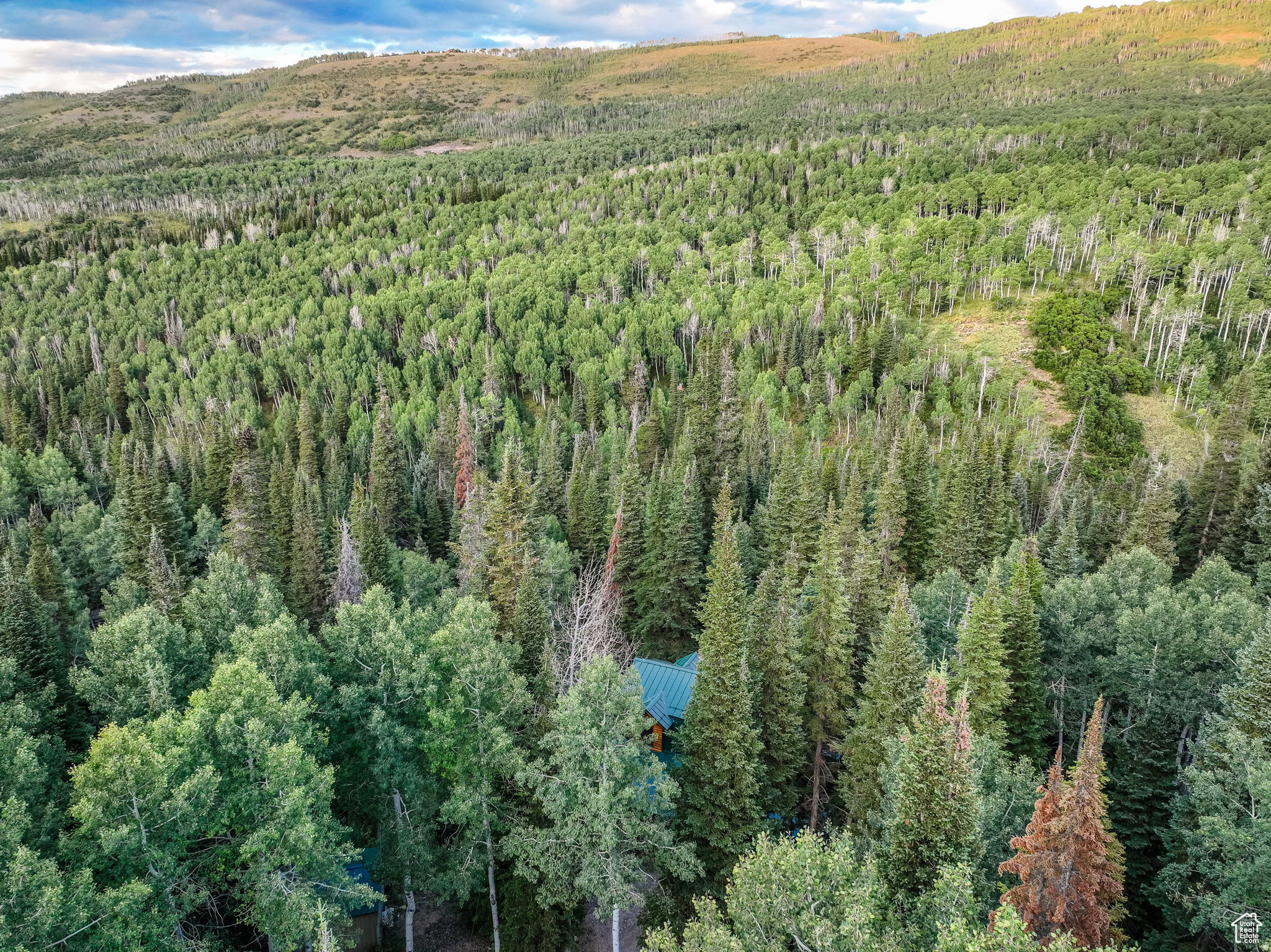 TIMBER LAKES - Residential