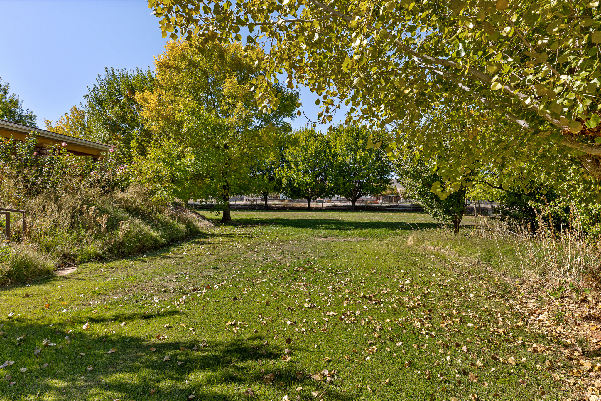 HURRICANE FIELD SURVEY - Residential