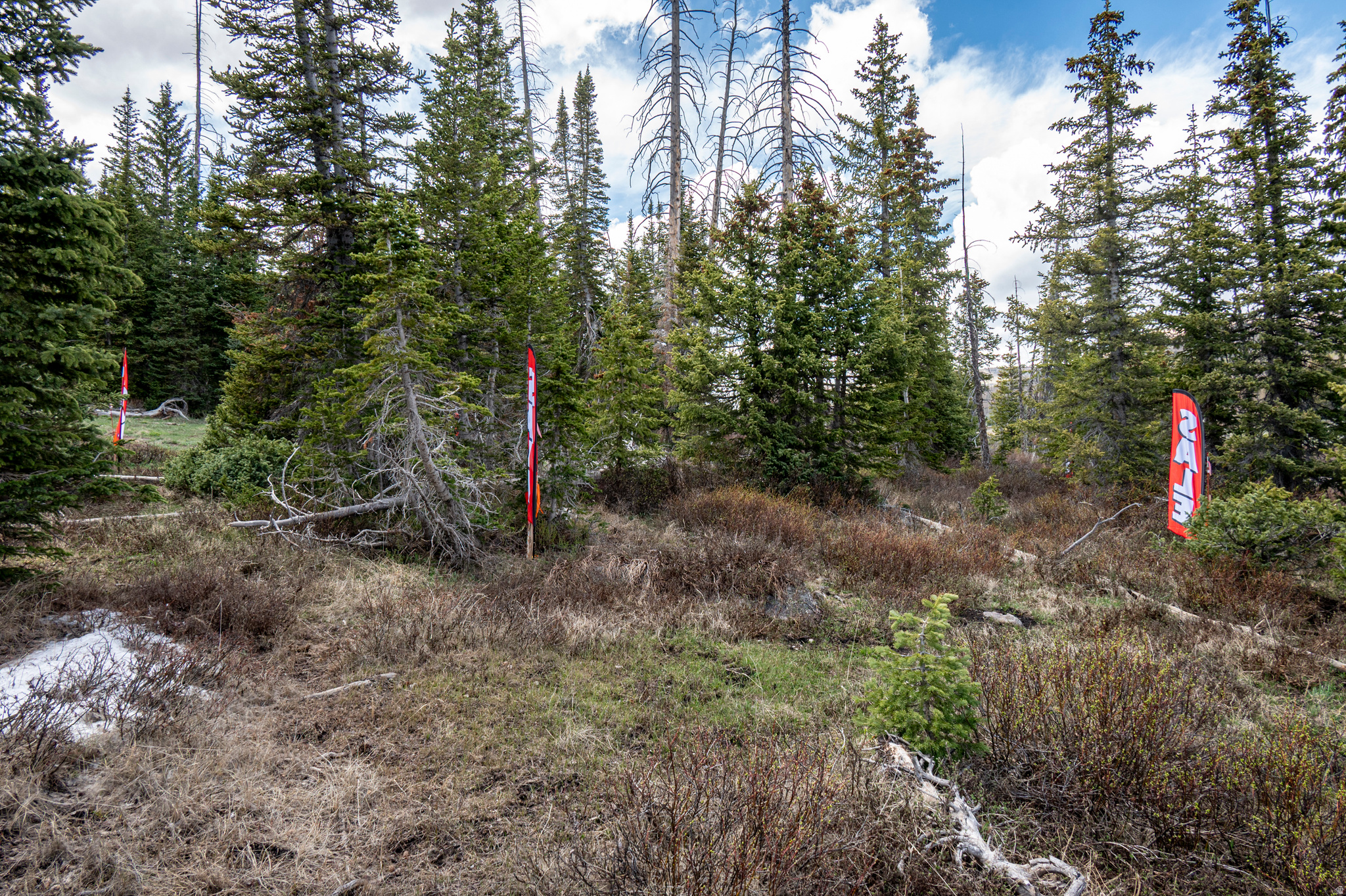 RAINBOW MEADOW RANCHOS - Land