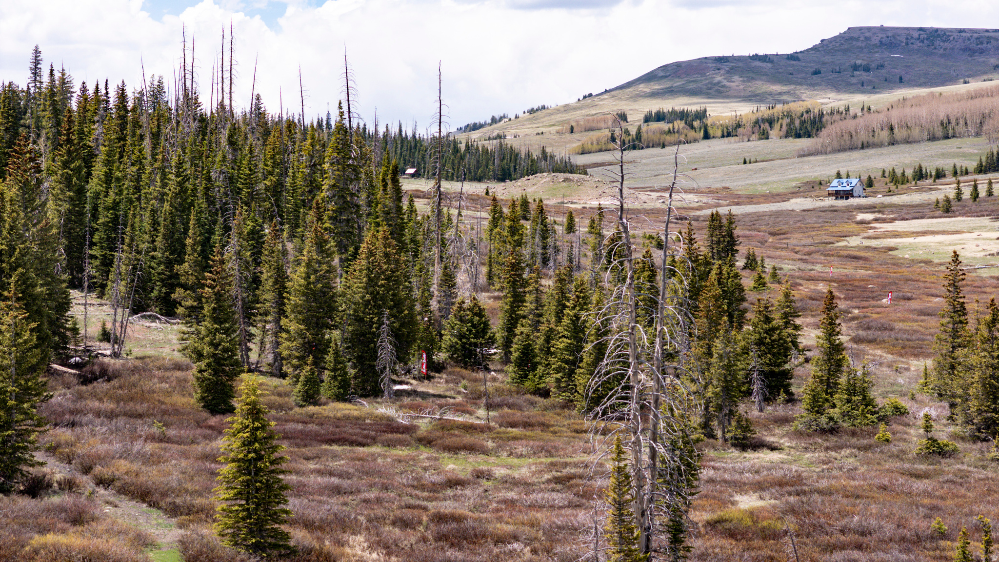 RAINBOW MEADOW RANCHOS - Land