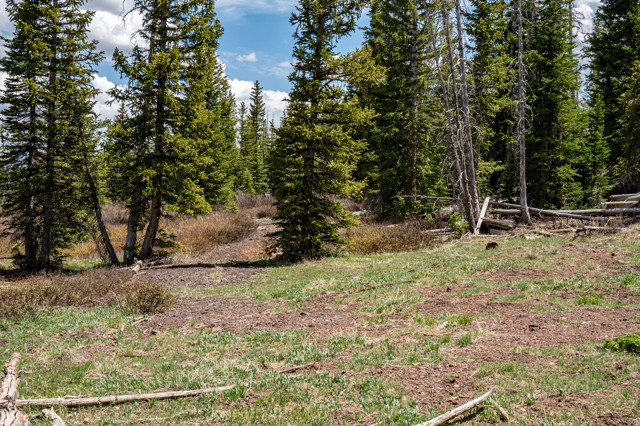 RAINBOW MEADOW RANCHOS - Land