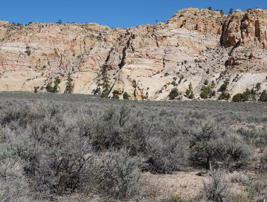 Land in the incredible natural sandstone amphitheater known as Fish Creek Cove is rarely available. These eight amazing acres are bordered by land near Fish Creek Road on the south and the Cockscomb on the north. The massive size, strength and intensity of the Navajo Sandstone encircling the Cove is remarkable. Nurtured by the runoff from the vertical sandstone formation is a row of tall, stately Ponderosa trees. The contrast between the bright blue sky, the creamy white sandstone, the dark green of the Ponderosa trees and the soft green of the sage is striking. The property has been surveyed, has legal access and has been approved for septic. Electricity is in Fish Creek Road. Buyer must drill a well in order to build. There are no restrictions other than county ordinances. Priced at county assessed valuation. The property presents unbelievable hiking and exploring opportunities from the front door.