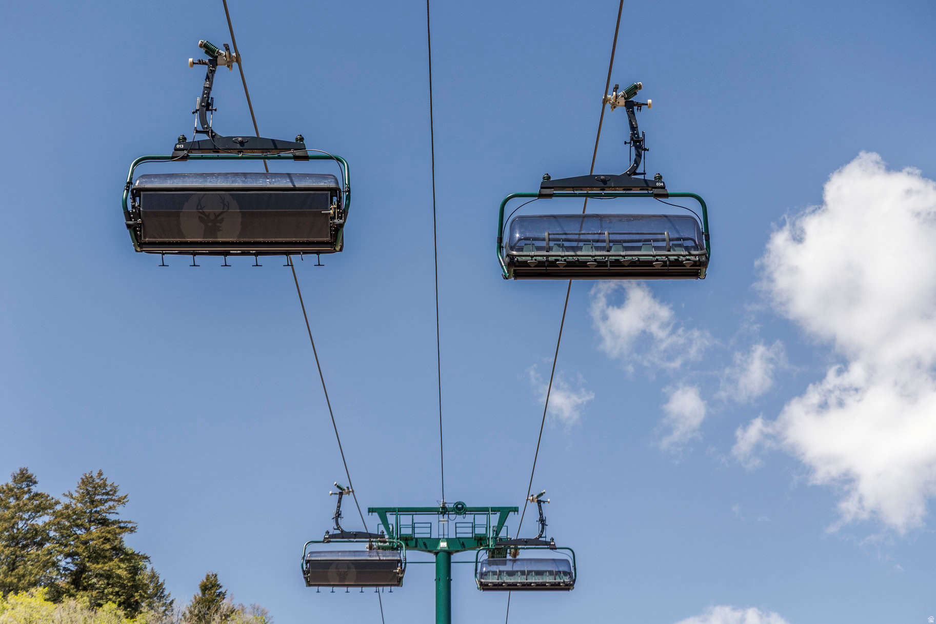 THE RESIDENCES AT GRAND HYATT - Residential