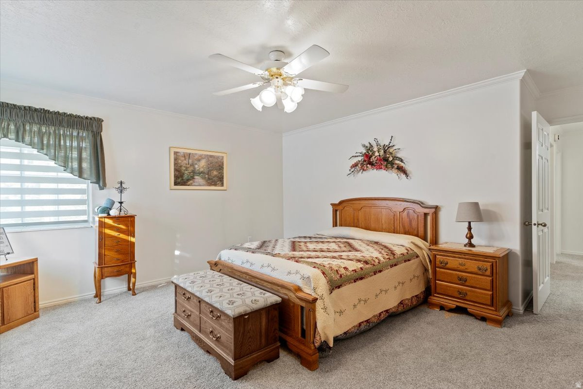 DOZYDALE - Residential