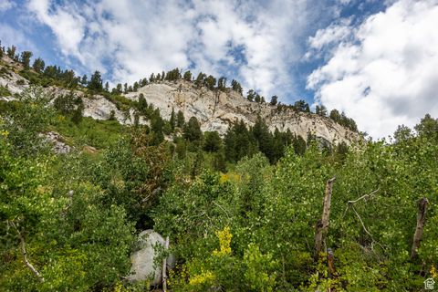 Tiny photo for 9876 E LITTLE COTTONWOOD CYN, Alta, UT 84092 (MLS # 2109888)