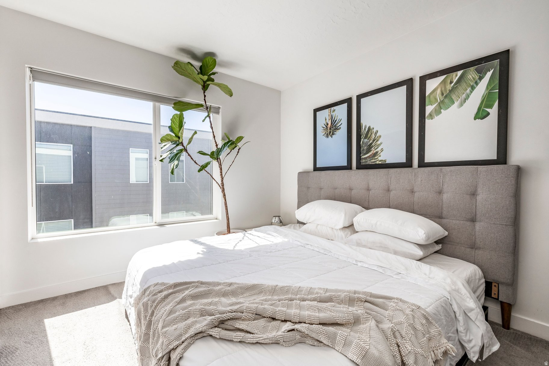 WINNIE - Residential