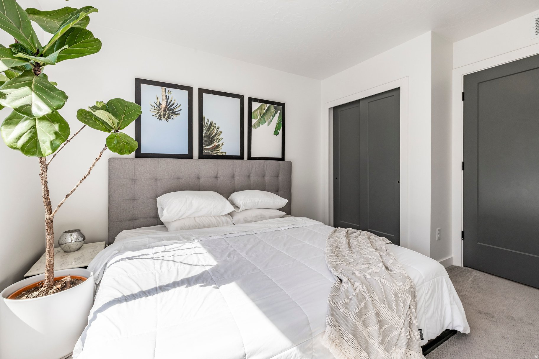 WINNIE - Residential