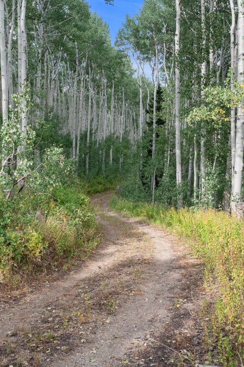 Tiny photo for 5473 N PINECONE RD #213, Midway, UT 84049 (MLS # 2176404)