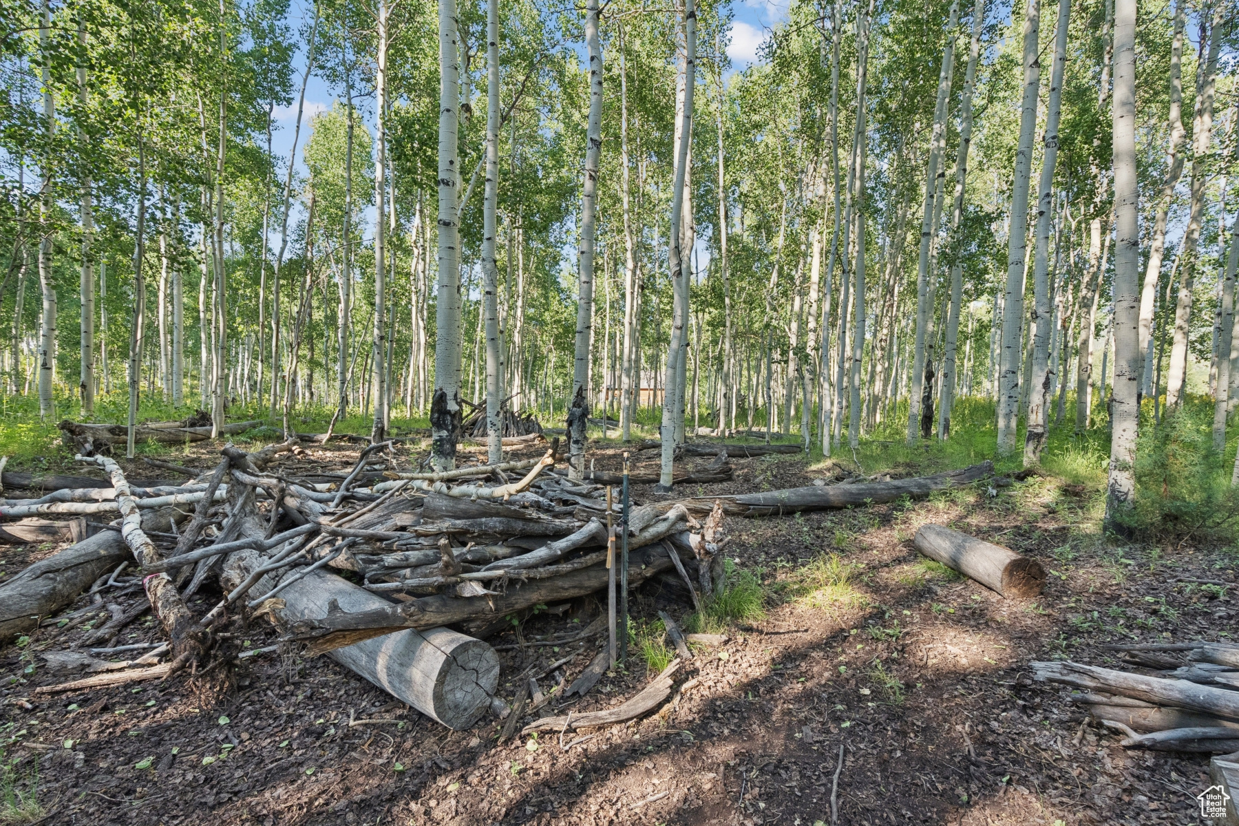 TIMBER LAKES - Land