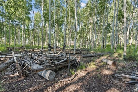 Tiny photo for 3949 N BLUE SPRUCE DR #1853, Heber City, UT 84032 (MLS # 2102988)