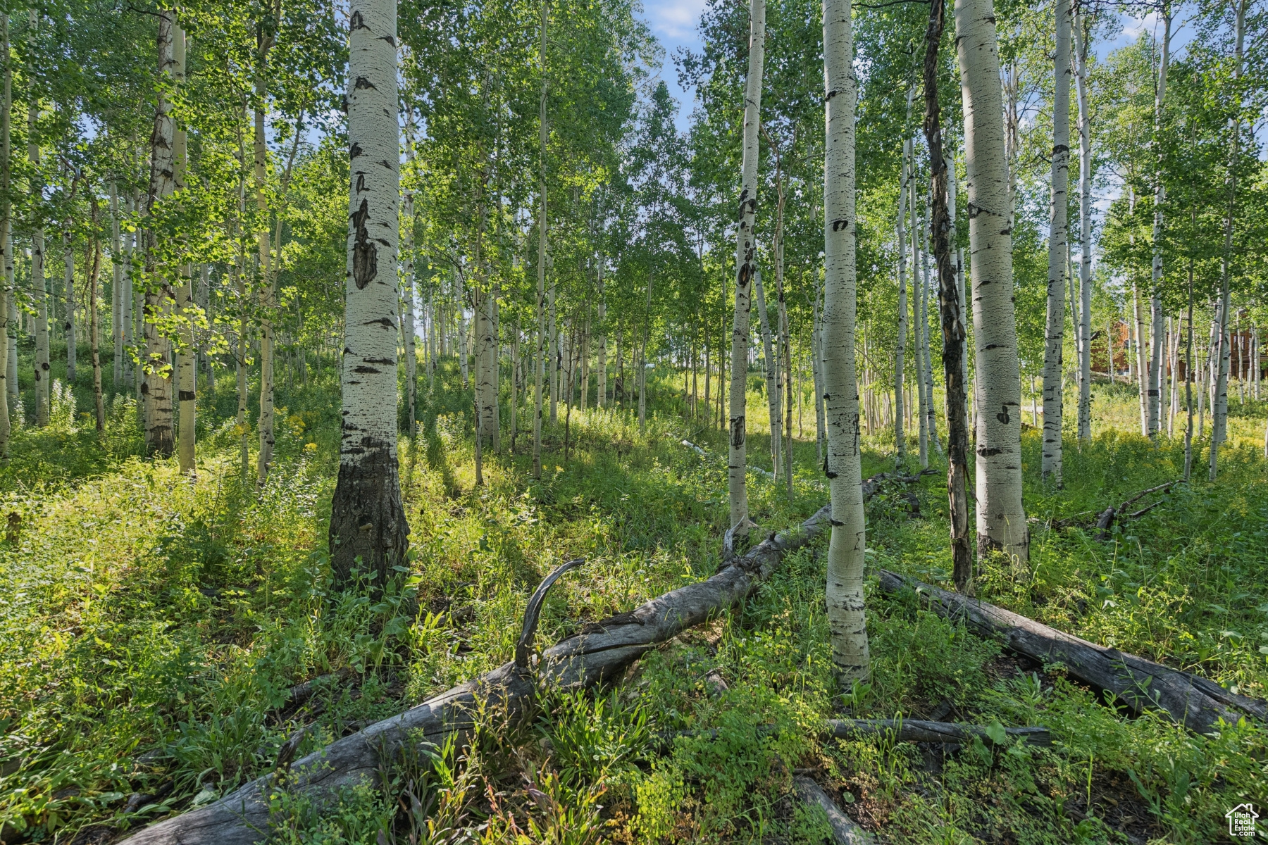 TIMBER LAKES - Land
