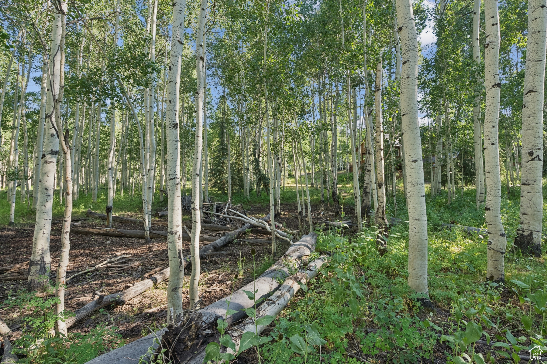 TIMBER LAKES - Land