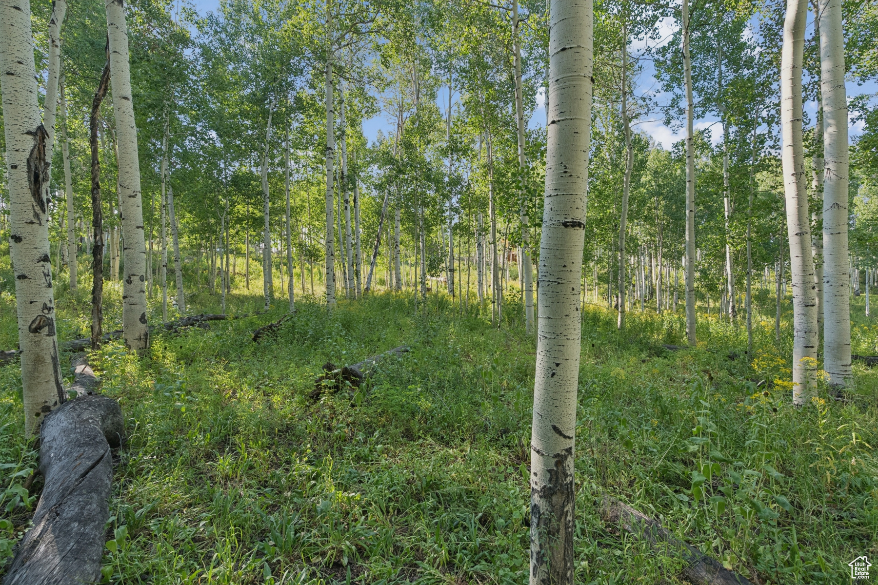 TIMBER LAKES - Land