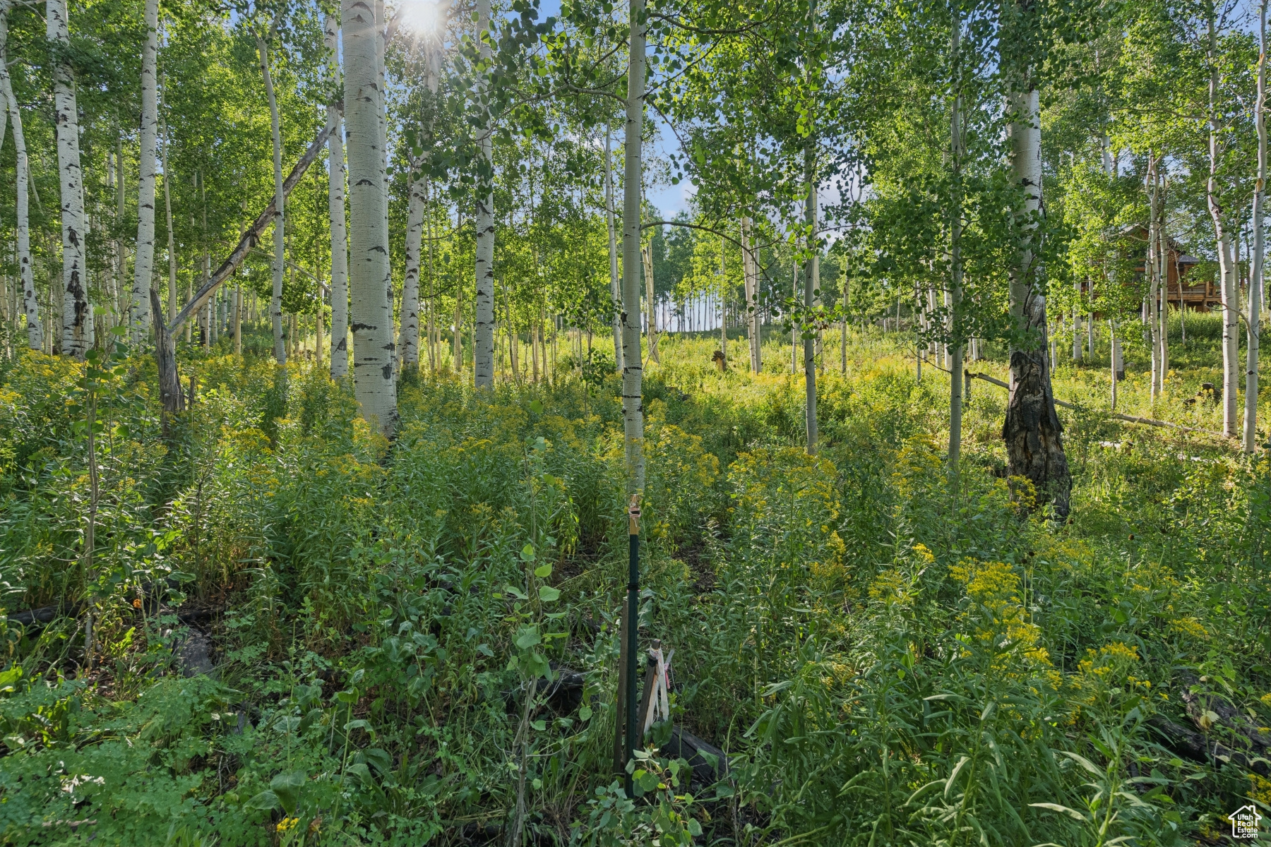 TIMBER LAKES - Land