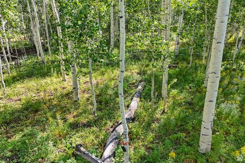 Tiny photo for 3949 N BLUE SPRUCE DR #1853, Heber City, UT 84032 (MLS # 2102988)