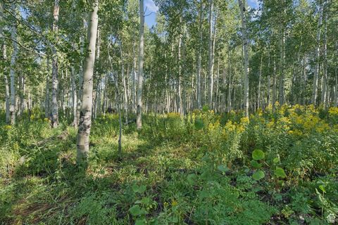 Tiny photo for 3949 N BLUE SPRUCE DR #1853, Heber City, UT 84032 (MLS # 2102988)