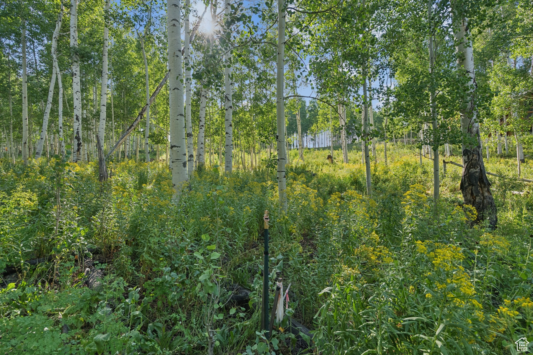 TIMBER LAKES - Land