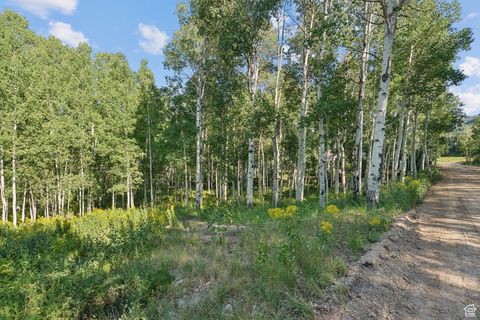 Tiny photo for 3949 N BLUE SPRUCE DR #1853, Heber City, UT 84032 (MLS # 2102988)