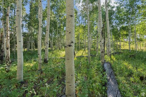 Tiny photo for 3949 N BLUE SPRUCE DR #1853, Heber City, UT 84032 (MLS # 2102988)