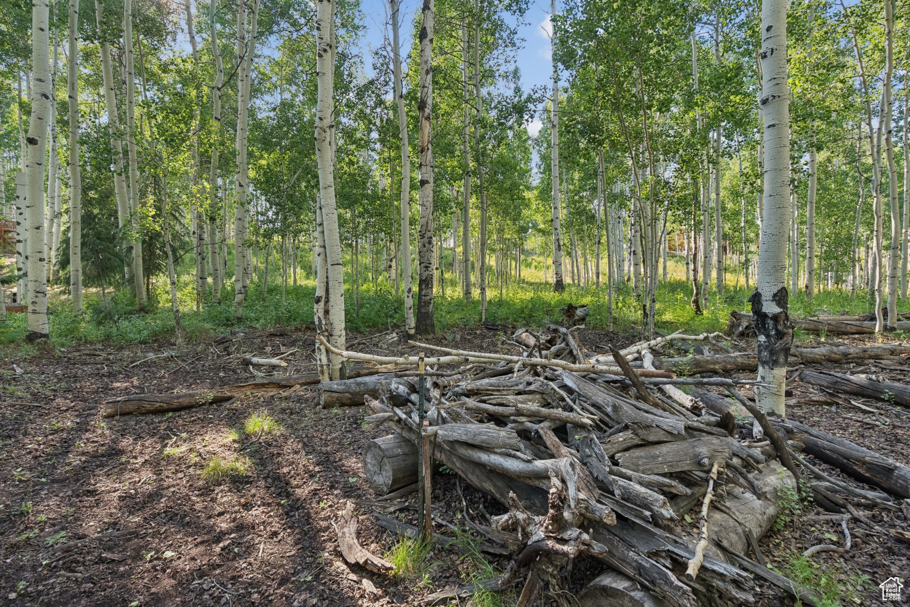 TIMBER LAKES - Land