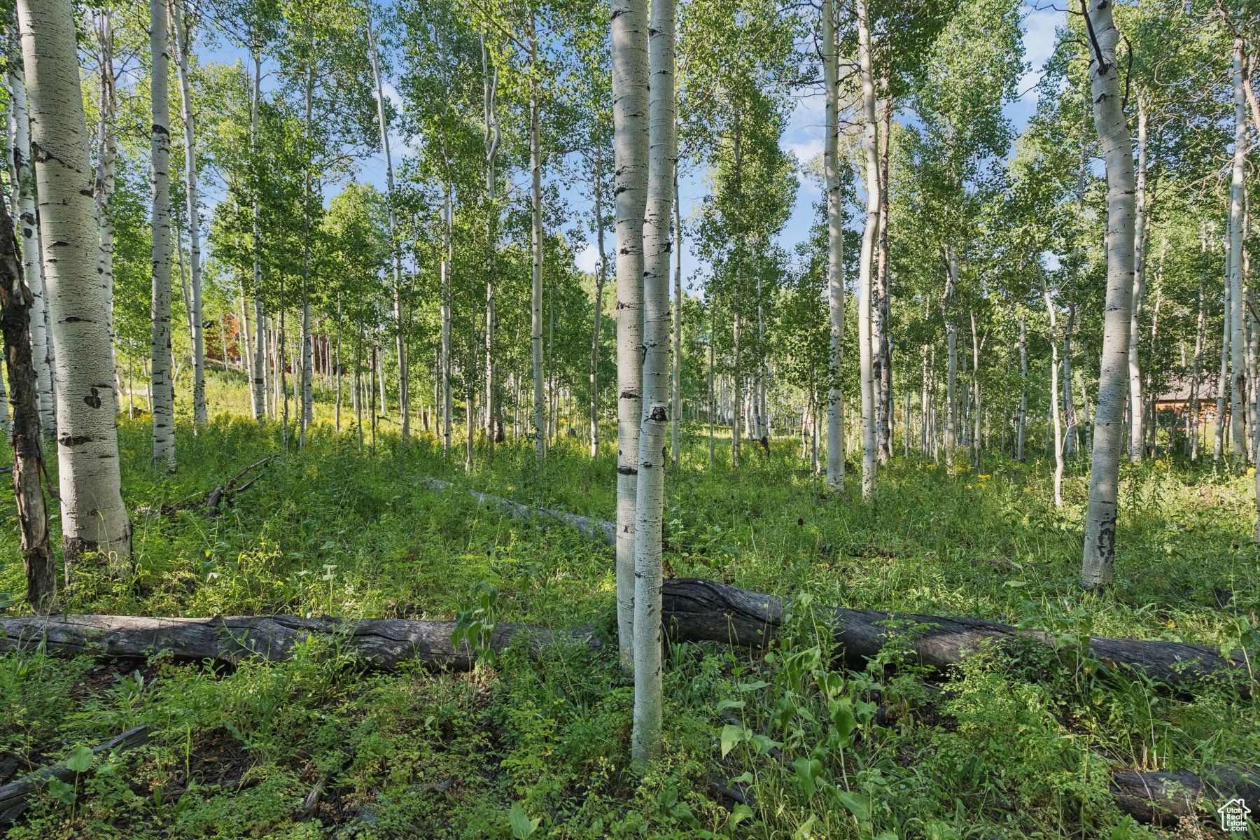 TIMBER LAKES - Land