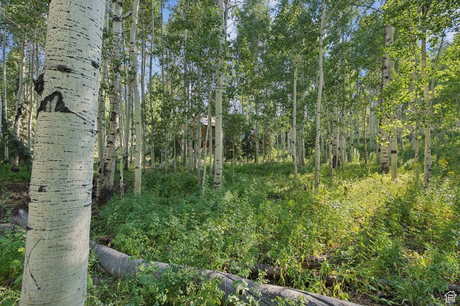 TIMBER LAKES - Land
