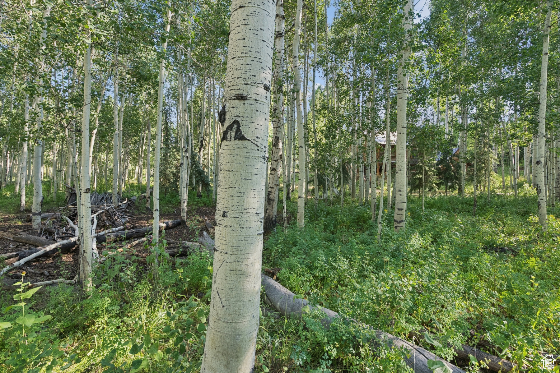 TIMBER LAKES - Land