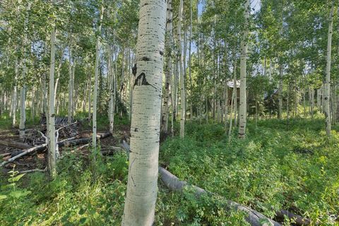 Tiny photo for 3949 N BLUE SPRUCE DR #1853, Heber City, UT 84032 (MLS # 2102988)