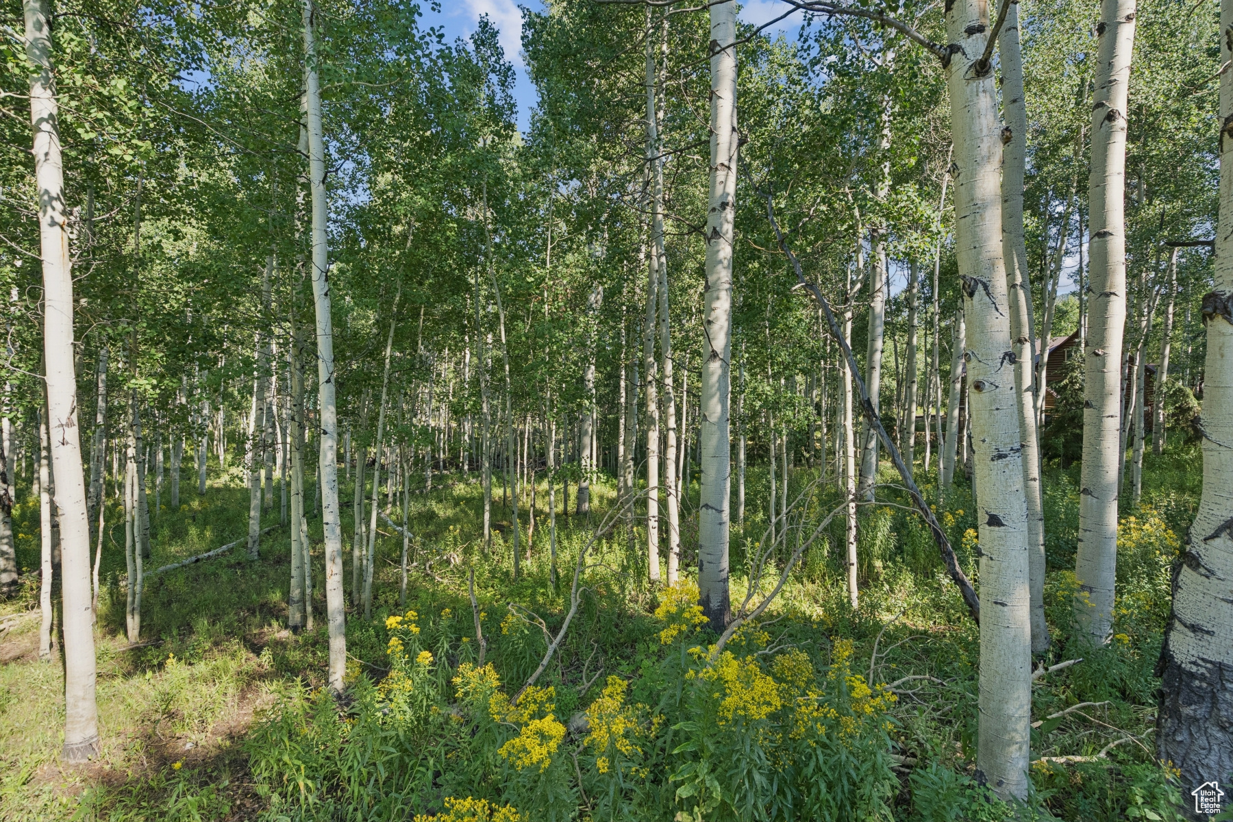 TIMBER LAKES - Land