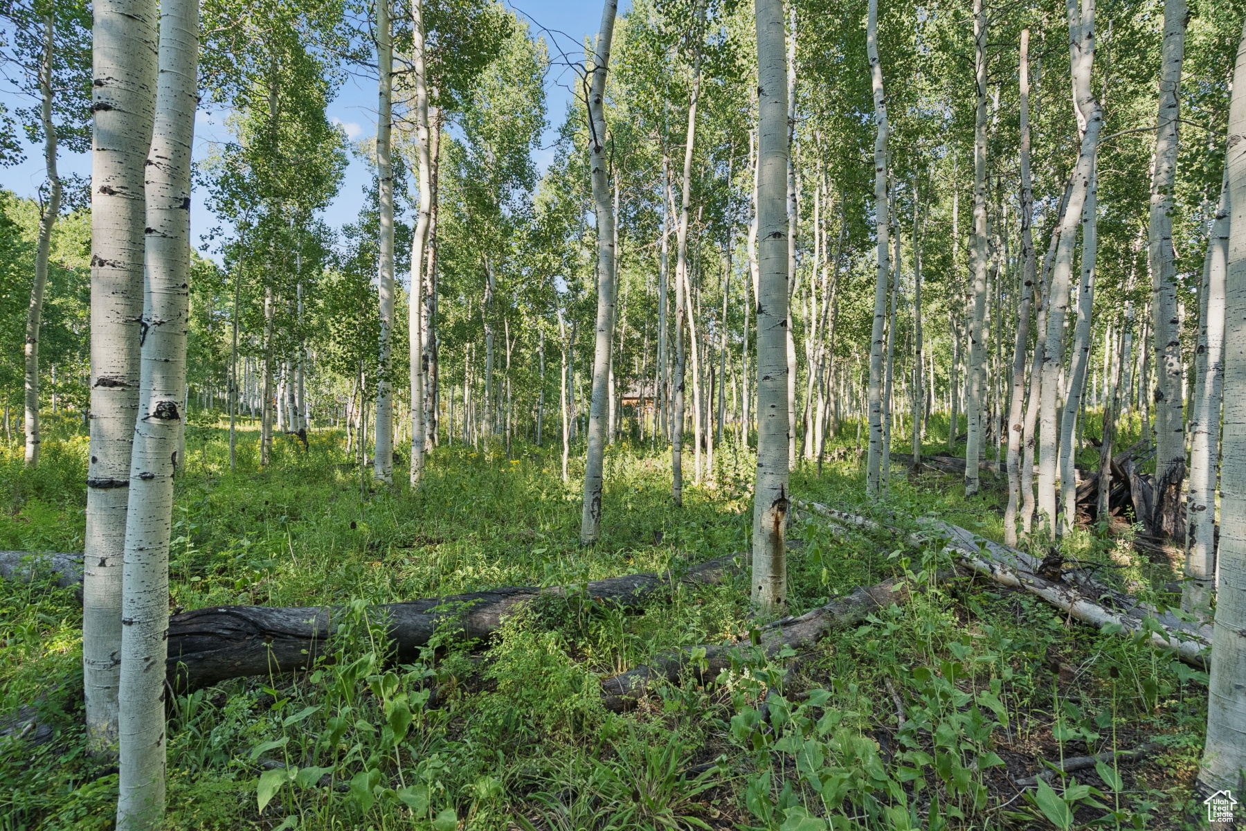 TIMBER LAKES - Land