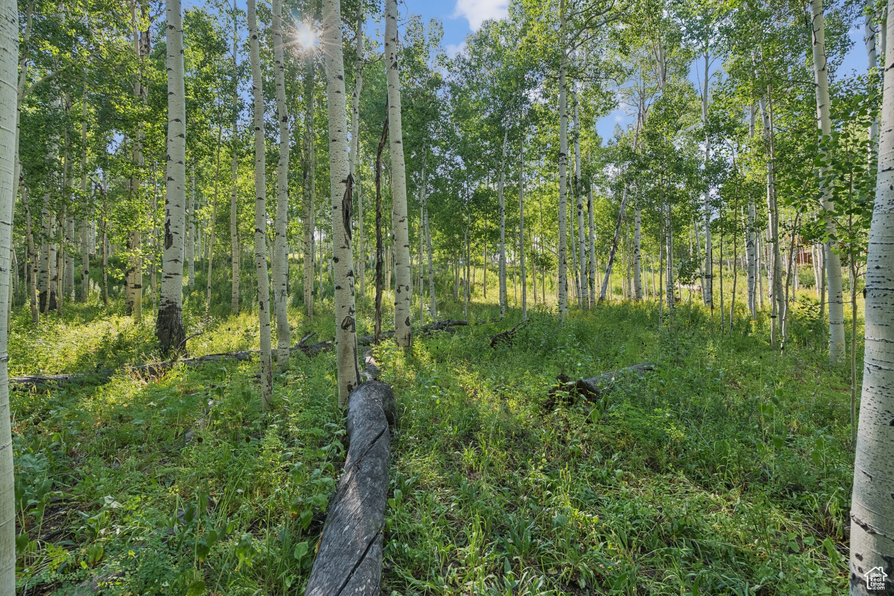 TIMBER LAKES - Land