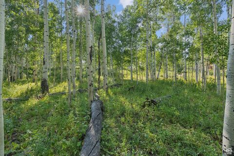 Tiny photo for 3949 N BLUE SPRUCE DR #1853, Heber City, UT 84032 (MLS # 2102988)