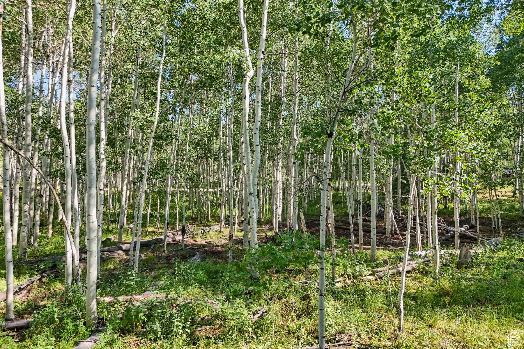 TIMBER LAKES - Land