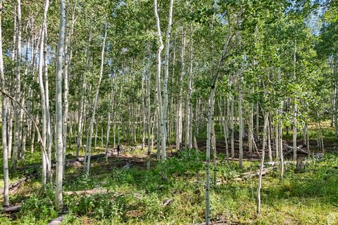 Tiny photo for 3949 N BLUE SPRUCE DR #1853, Heber City, UT 84032 (MLS # 2102988)