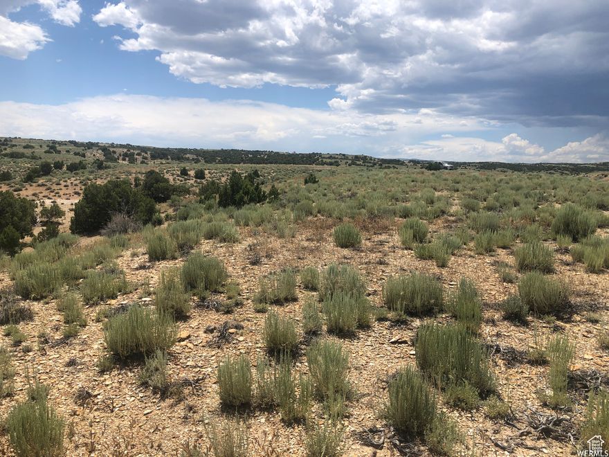 Excellent recreational property in the Moondance Ranch subdivision. This very interesting topography includes several washes, hills, and several flat-view areas to build on. Easy access at the end of the cul-de-sac. An additional connecting 40+ acre parcel can be purchased separately for $65,000 or purchase both parcels for a reduced price. Seller Financing is available with a sizeable down. Contact the listing agent for details.