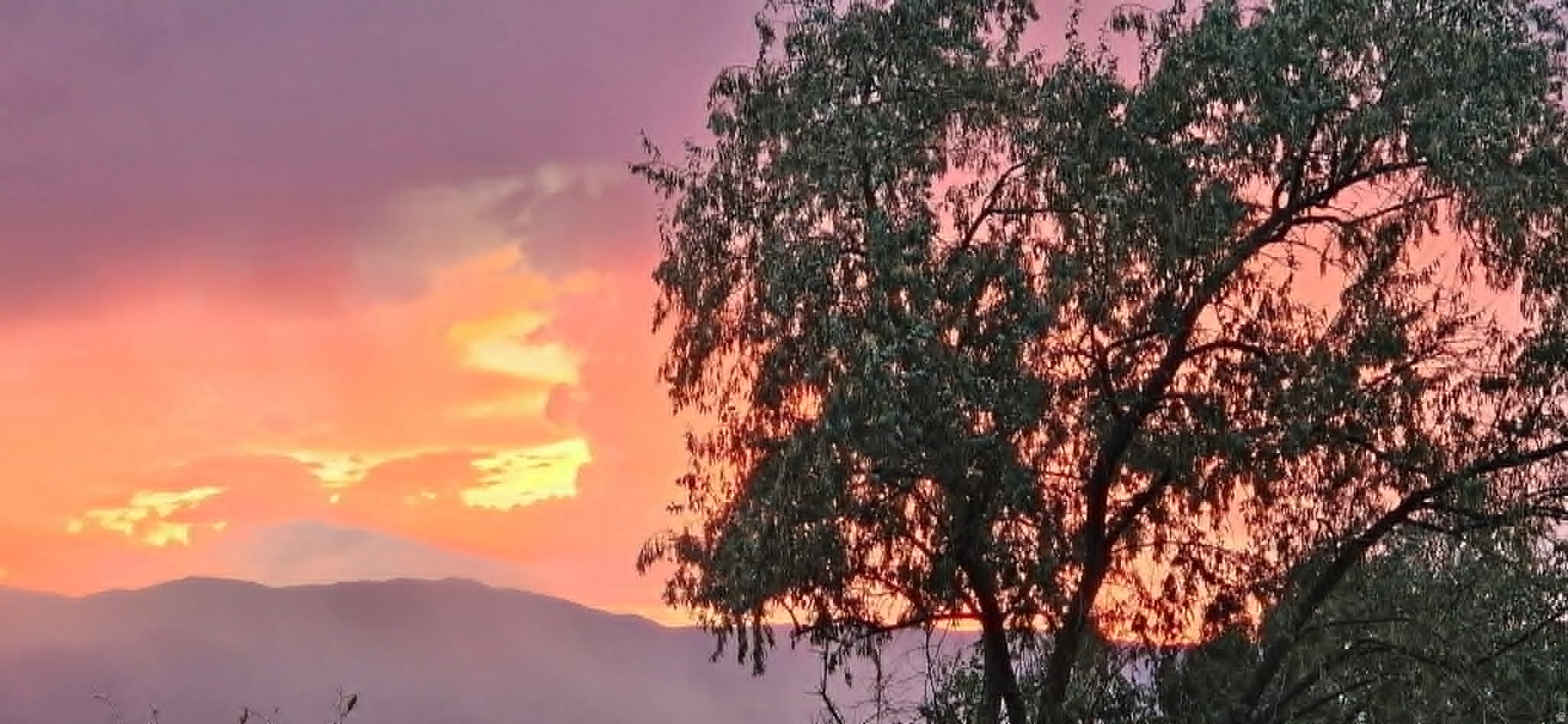 SADDLEBACK - Residential