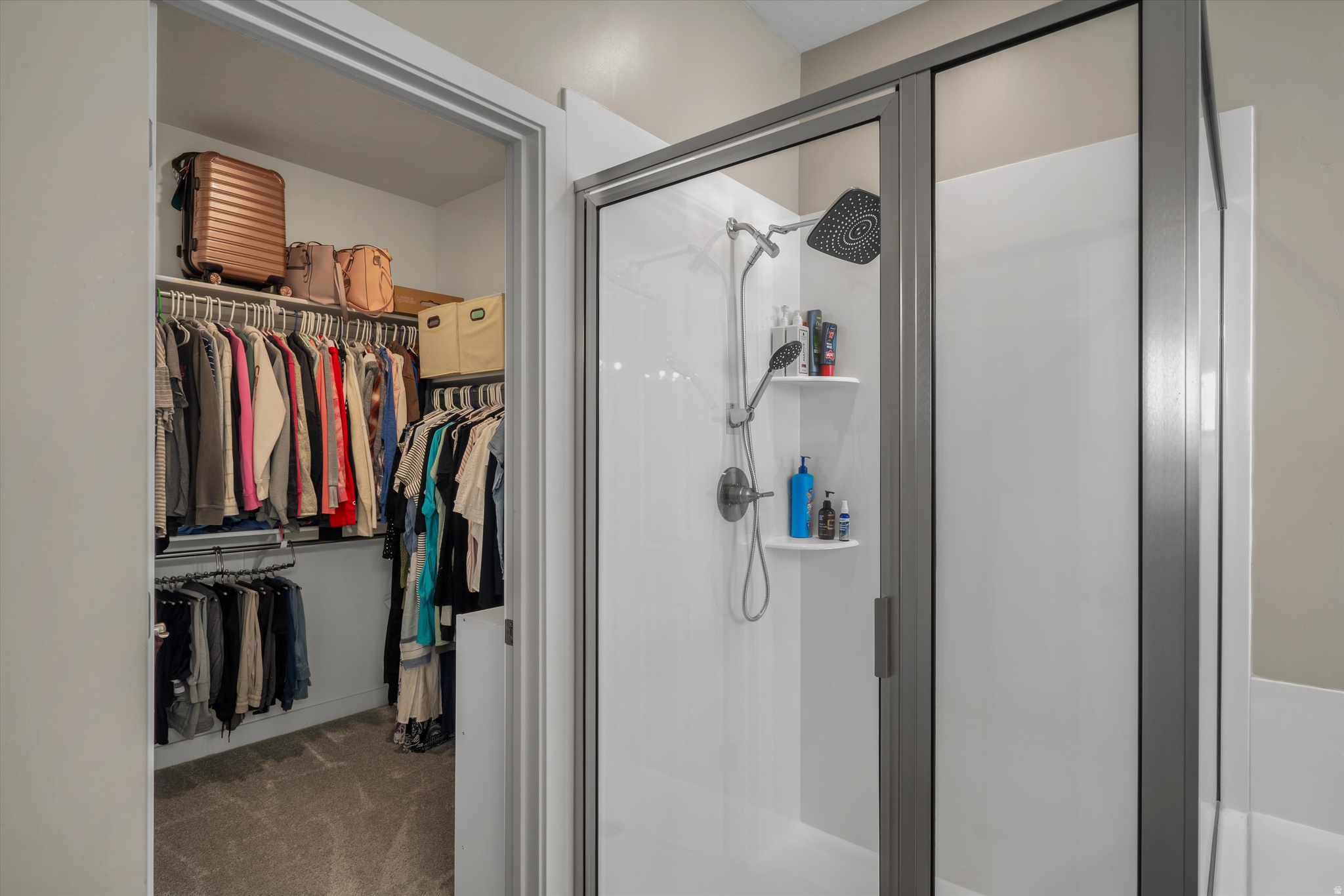 SADDLEBACK - Residential